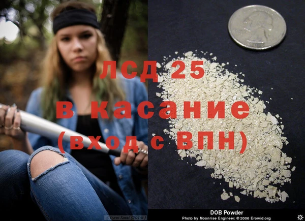 прущие грибы Алексеевка