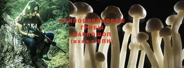 каннабис Алексин