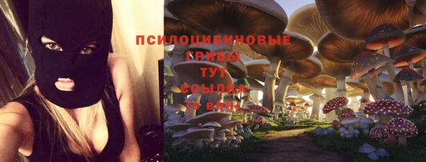 прущие грибы Алексеевка
